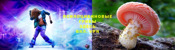 спиды Алексин