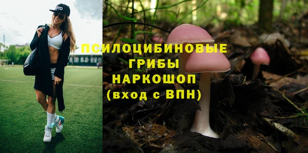 спиды Алексин