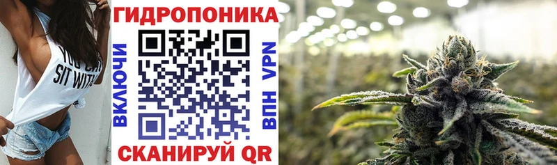 продажа наркотиков  Россошь  Шишки марихуана марихуана 